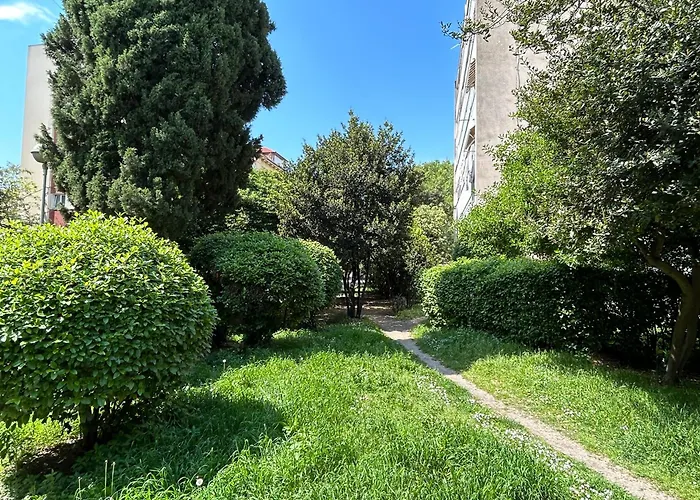 Nava In Center Of