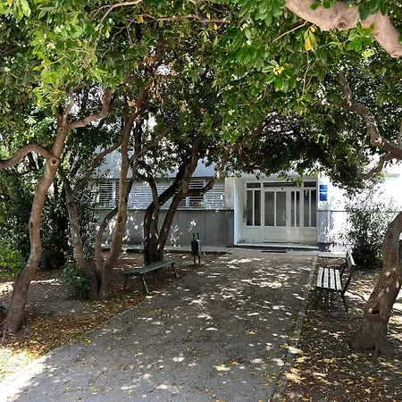 Nava In Center Of Split