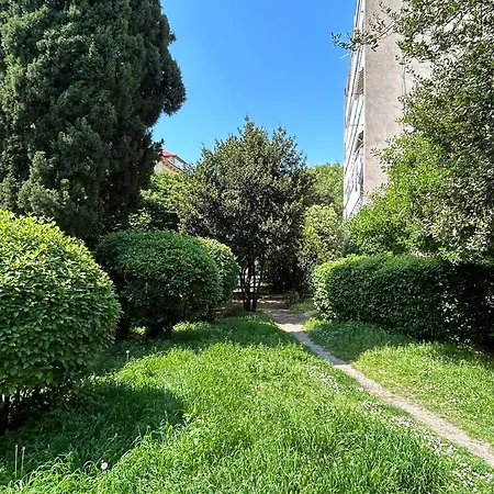 Nava In Center Of